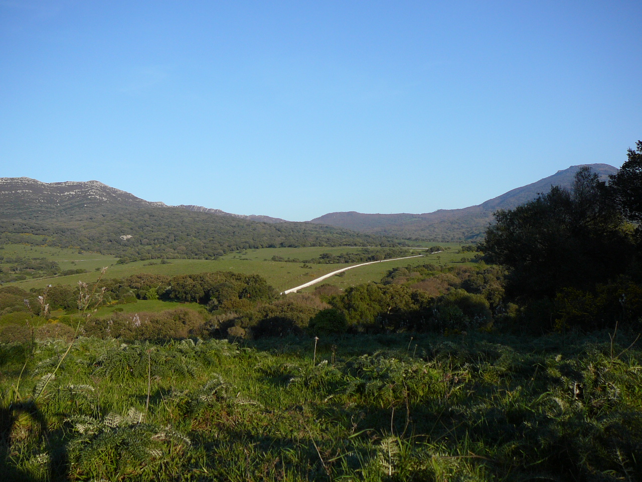 Tarifa - Puerto Ojén (province de Cádix) Dans le parc naturel de Alcornocales Passada del Ahogado