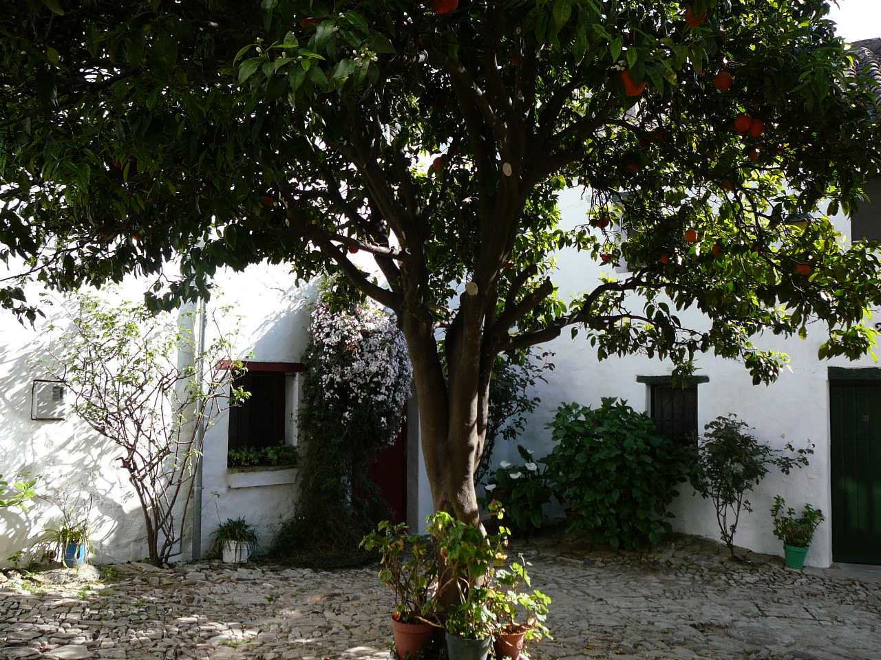 Los Barrios - Castellar (province de Cádix) Le village de Castellar 