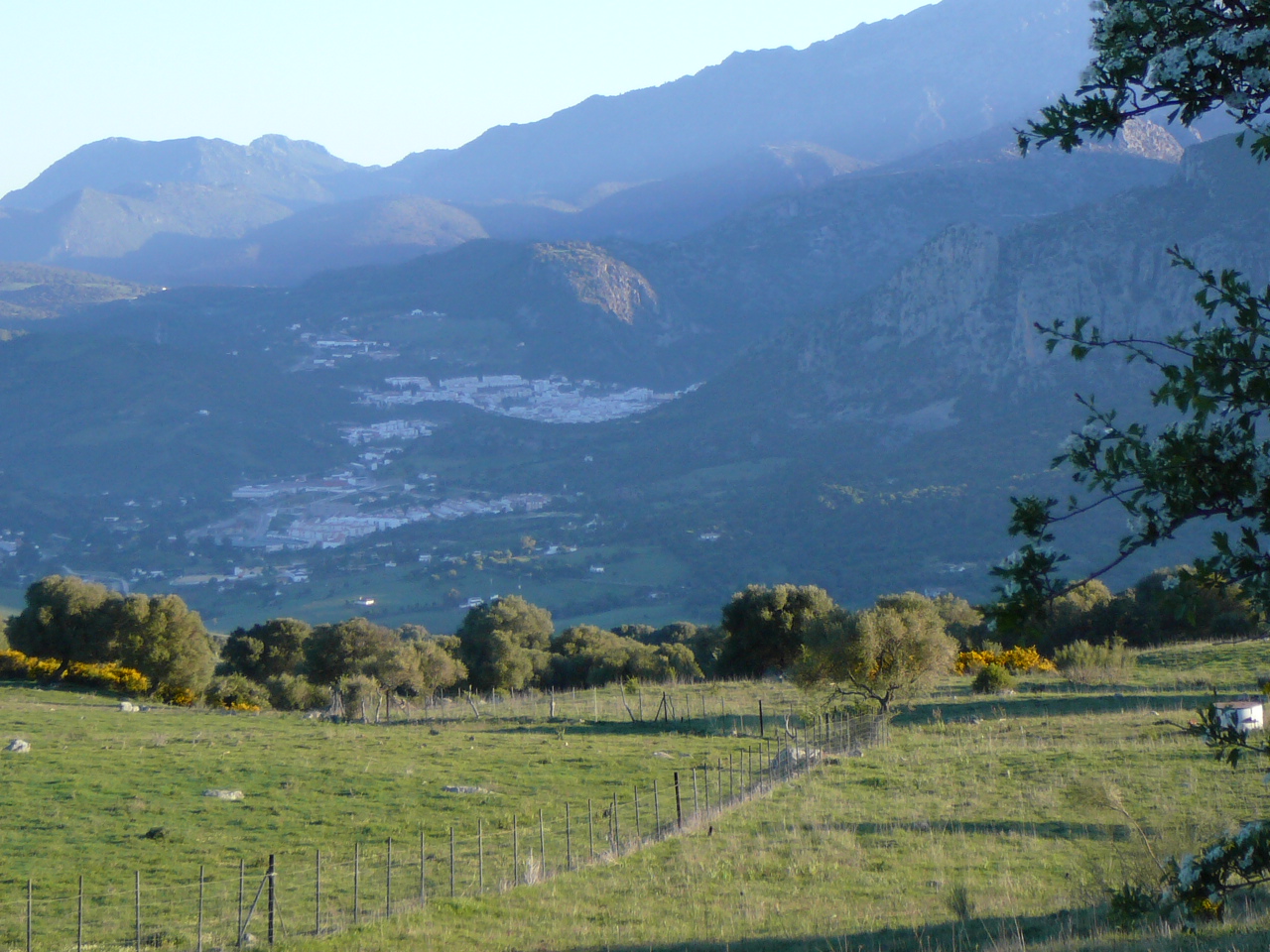 Peñón del Berrueco - Puerto del Correo (province de Cádix) La sierra de Ubrique 