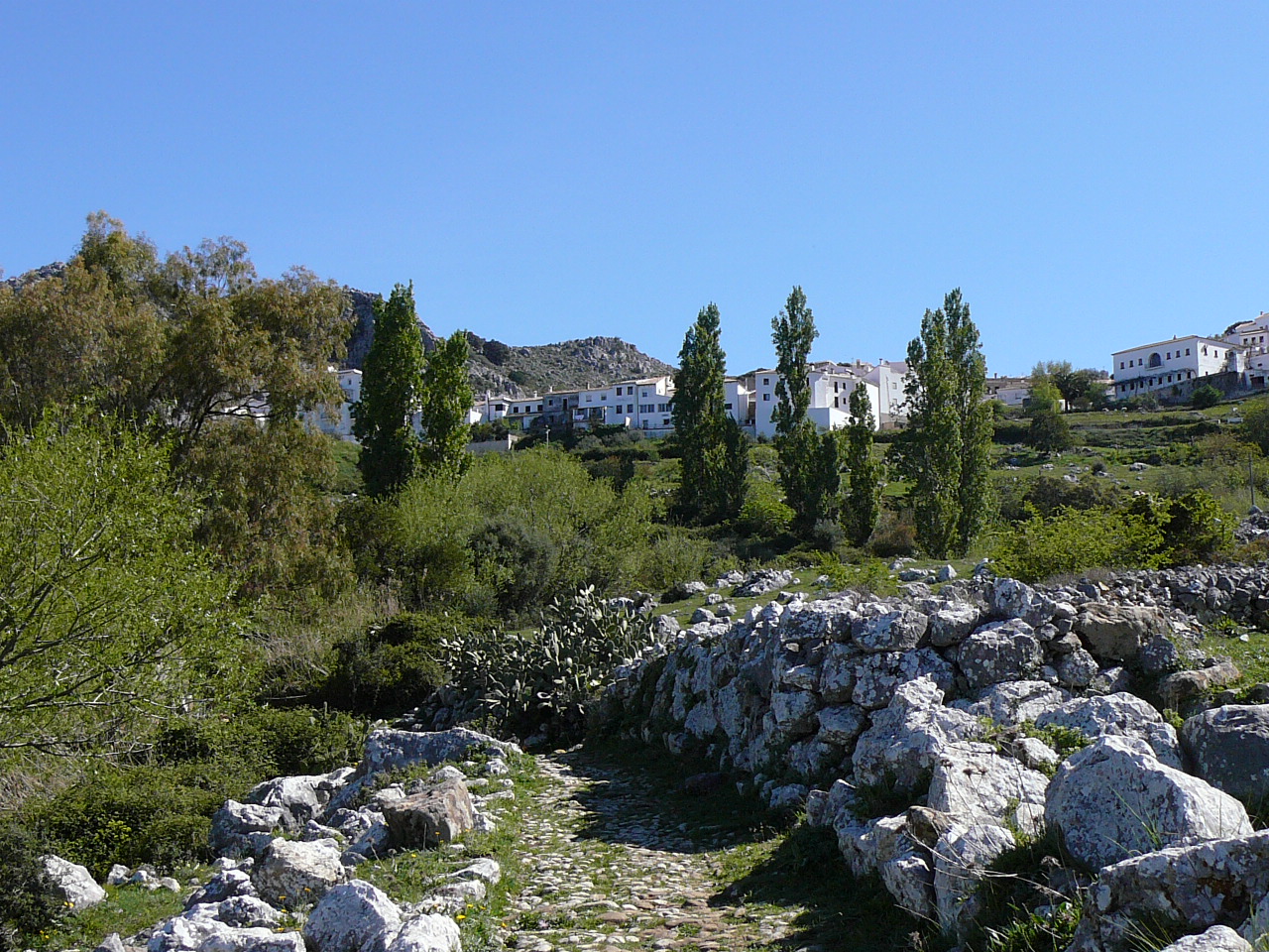 Peñón del Berrueco - Puerto del Correo (province de Cádix) Le village de Benaogaz Un très joli village "blanco"