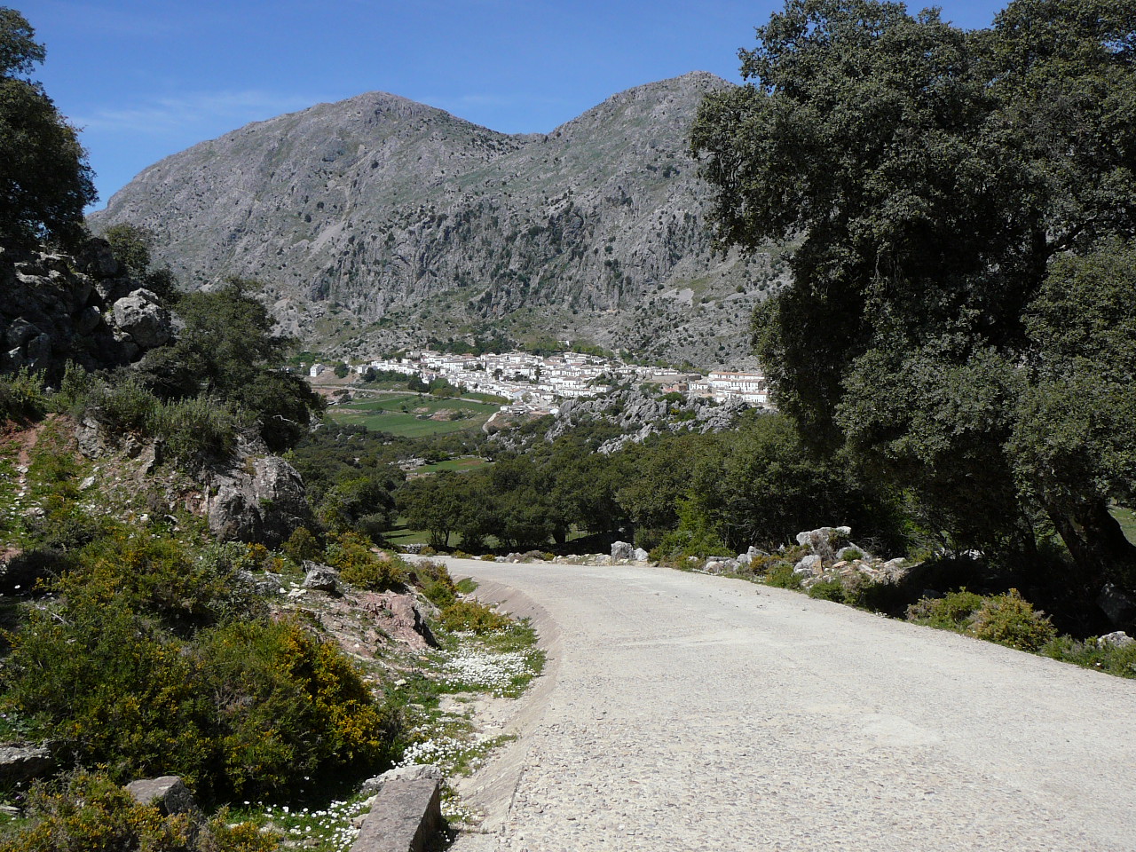 Peñón del Berrueco - Puerto del Correo (province de Cádix) Villaluenga del Rosario Depuis Clavellina