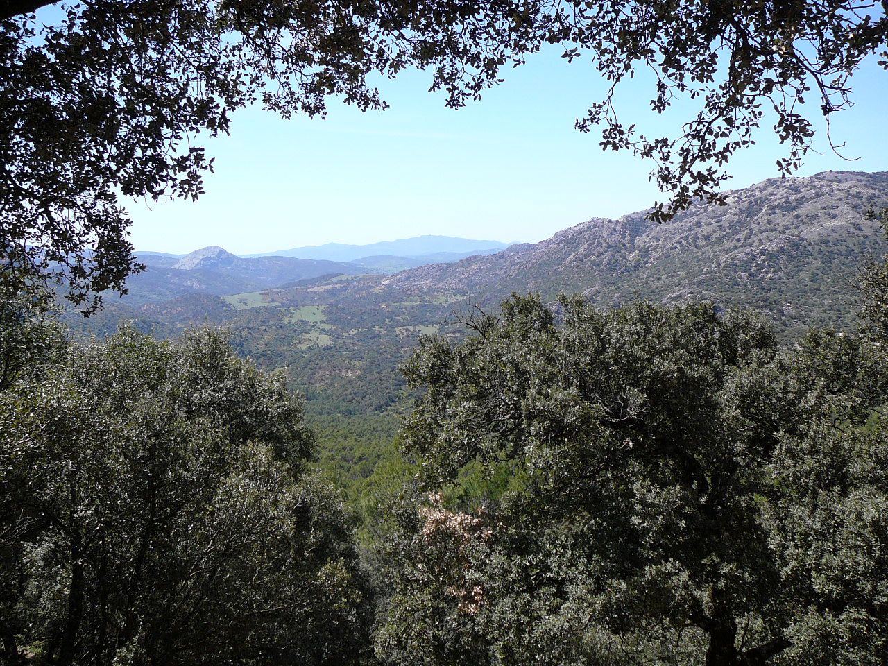 Peñón del Berrueco - Puerto del Correo (province de Cádix) La sierra de Líbar Depuis Clavellina