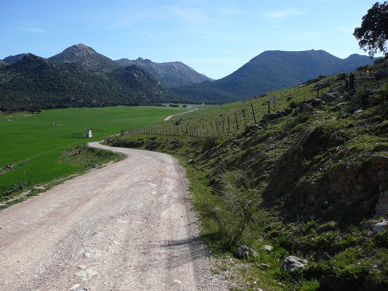 Peñón del Berrueco - Puerto del Correo (province de Cádix) Vereda de le fuente de Líbar 