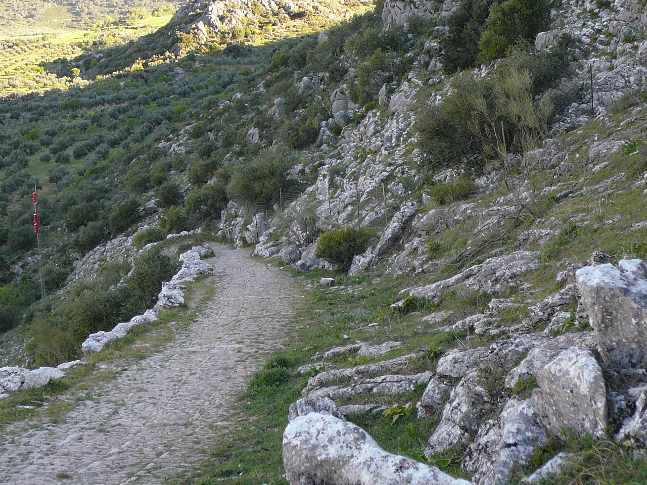 Puerto del Correo - Ronda (province de Málaga) Ancien chemin romain Montée à la sortie de Montejaque