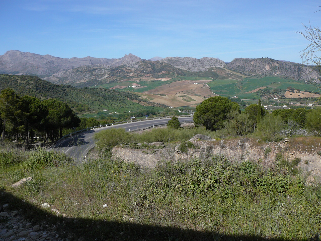 Puerto del Correo - Ronda (province de Málaga) La sierra de Montalate Avant d'arriver à Ronda