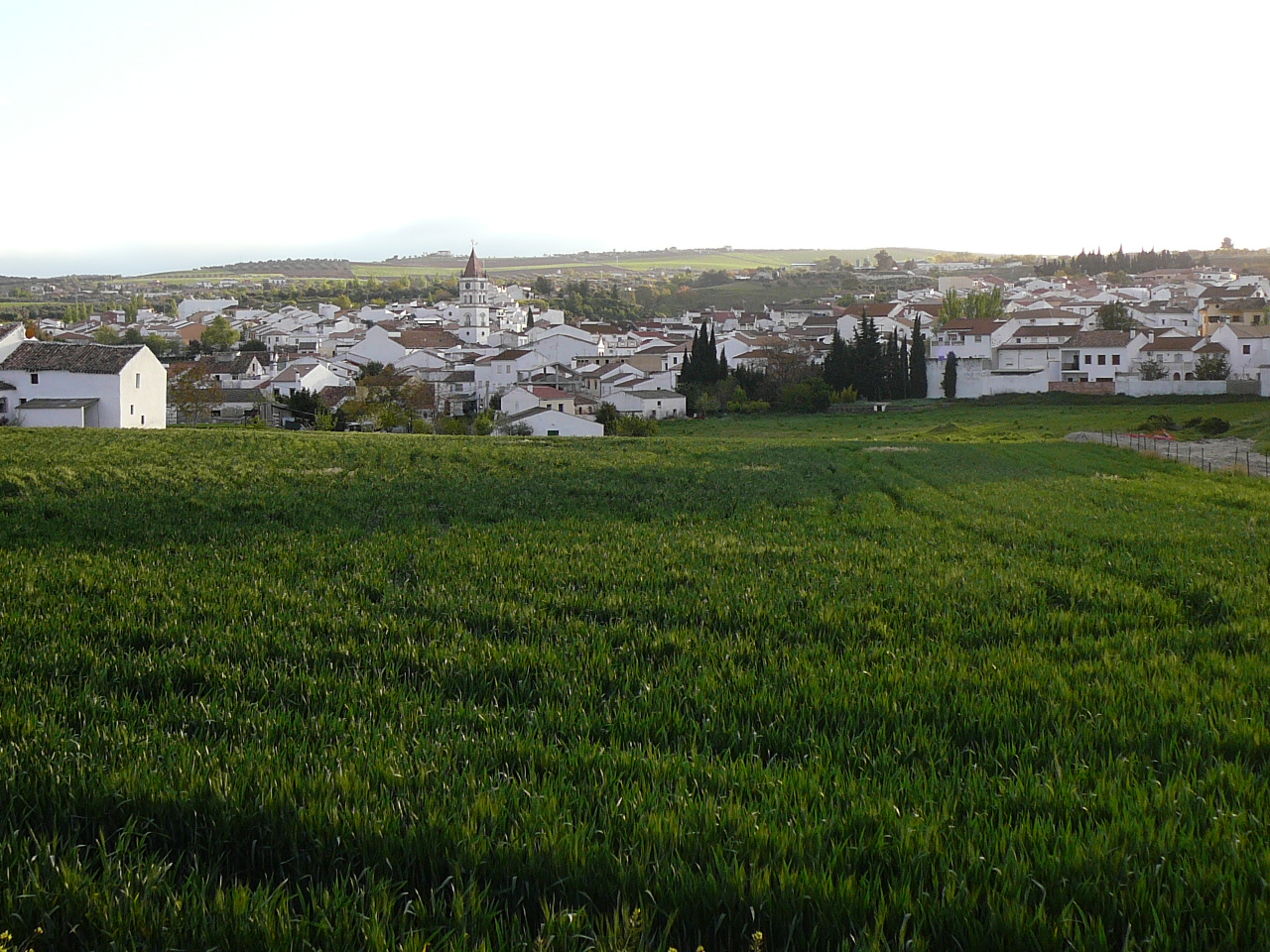 Ronda - Ardales (province de Málaga) Le village d'Arriate Au petit matin