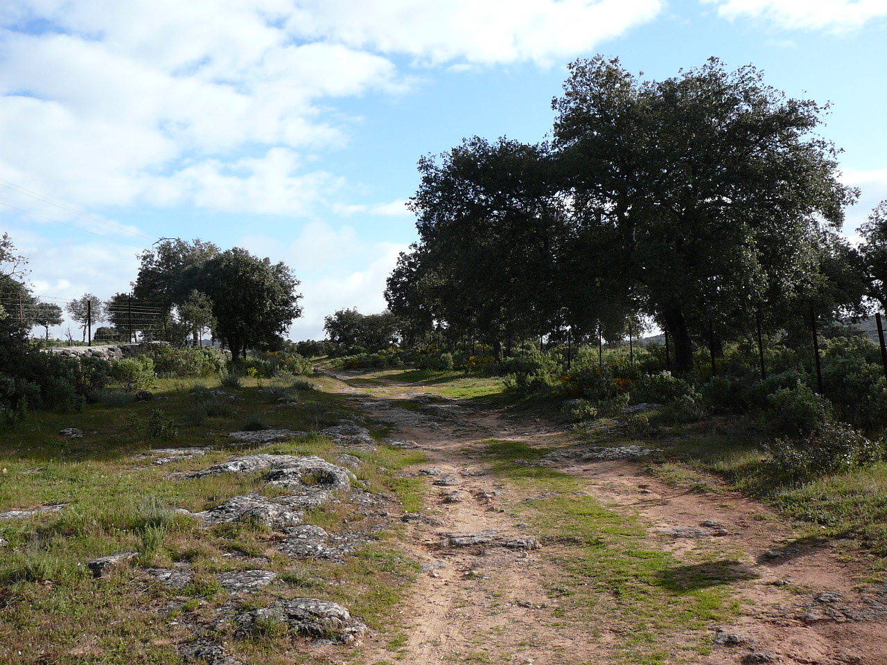 Ronda - Ardales (province de Málaga) La suite du chemin bucolique 