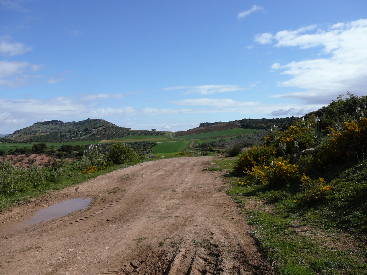 Ronda - Ardales (province de Málaga) Camino de Cuevas à Serrato 