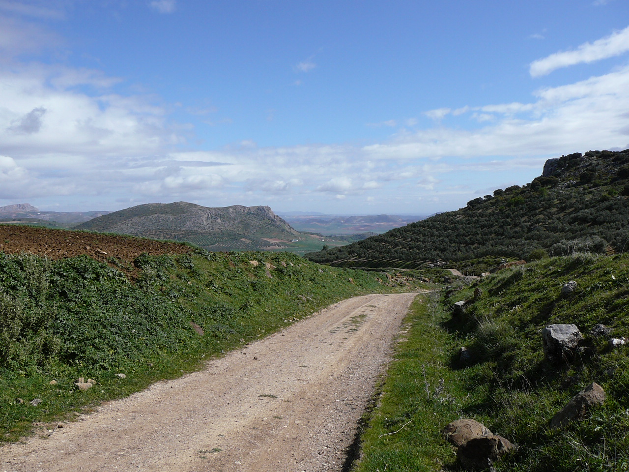 Ronda - Ardales (province de Málaga) En descendant sur Serrato 