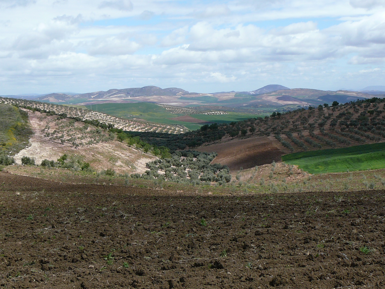 Ronda - Ardales (province de Málaga) Vastes horizons 