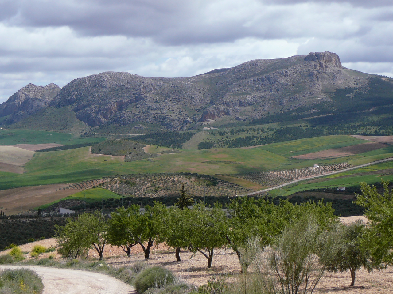 Ronda - Ardales (province de Málaga) Paysage autour de Serrato 