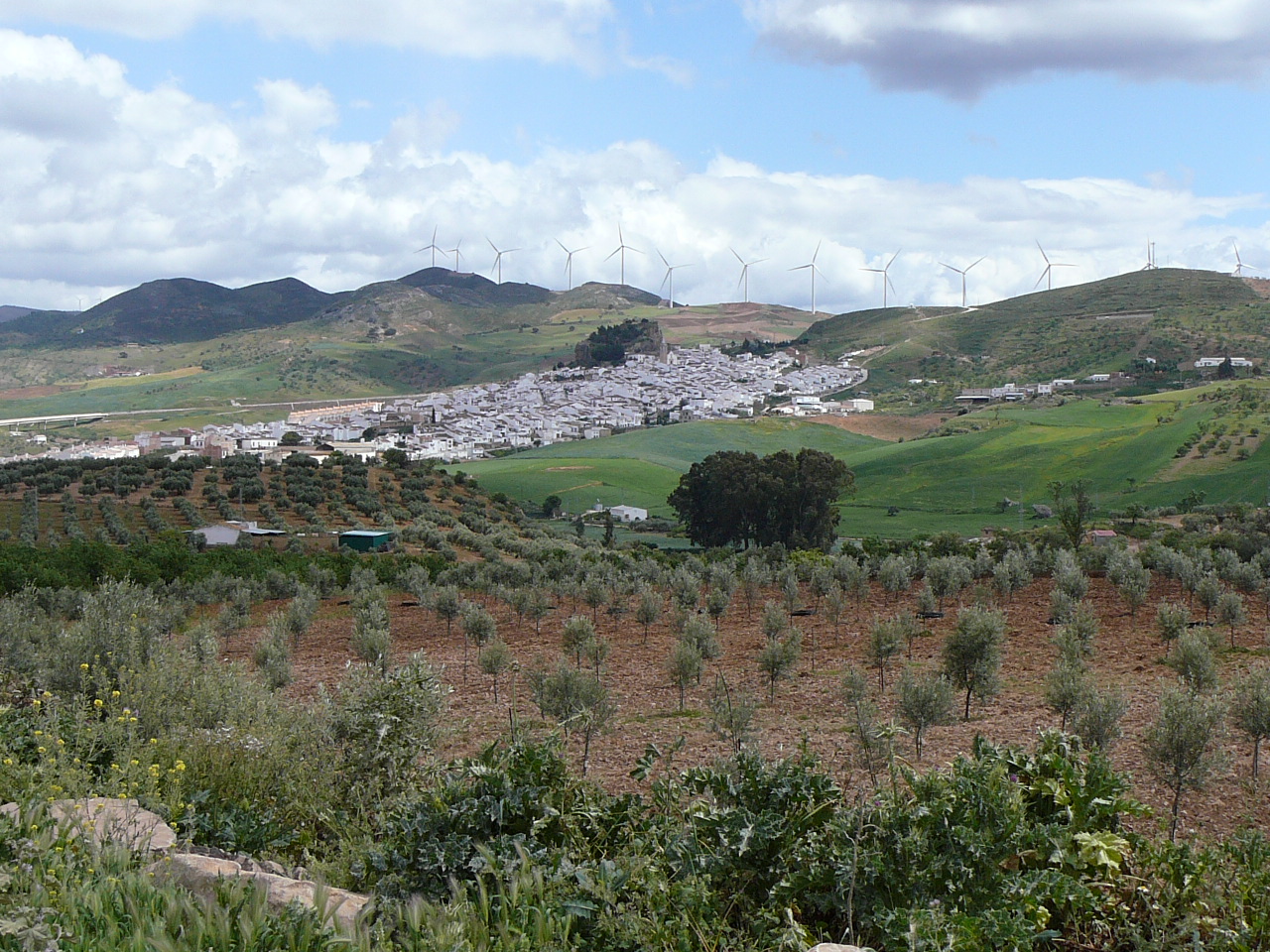 Ronda - Ardales (province de Málaga) La fin de l'étape est proche 