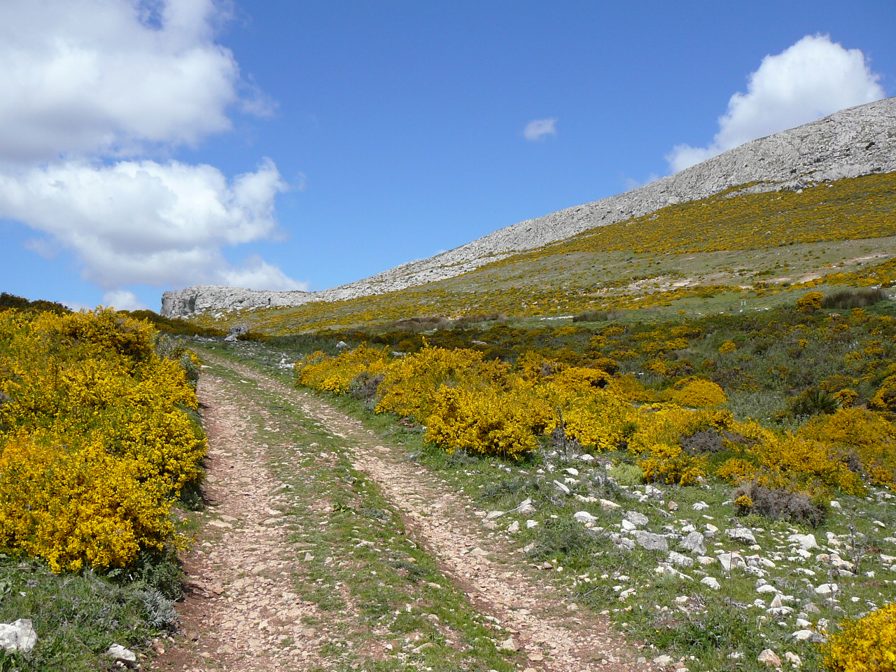 Ardales - Valle de Abdalajís (province de Málaga) Lieu-dit La Angostura Piste de mon errement avant de retrouver le bon chemin