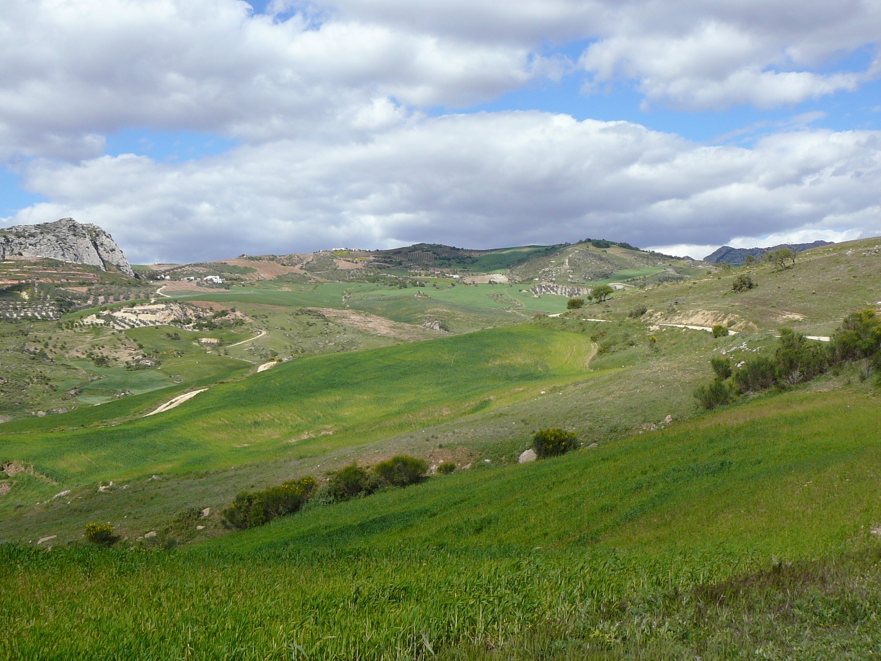 Ardales - Valle de Abdalajís (province de Málaga) En sortie de Valle de Abdalajís 