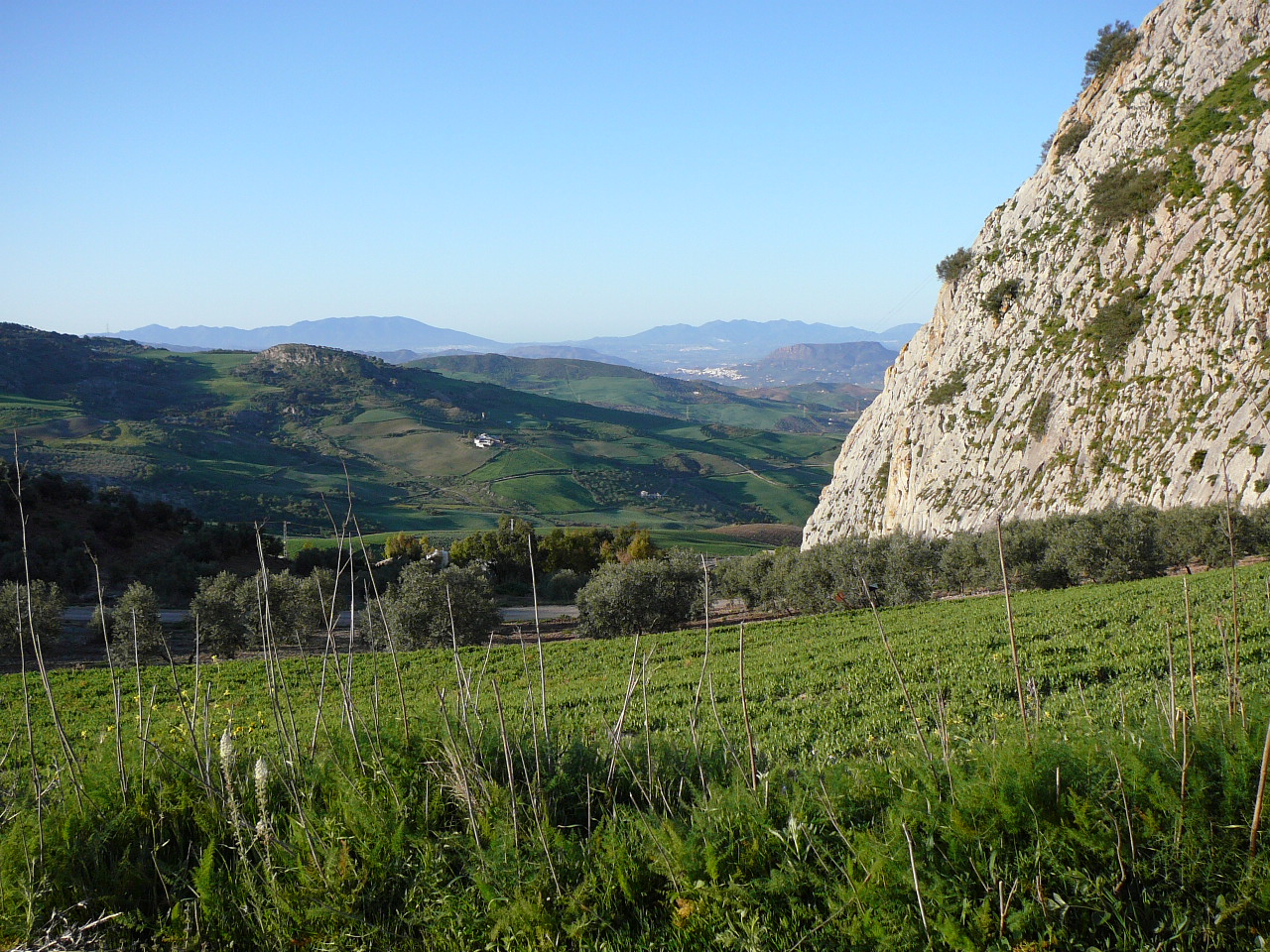 Valle de Abdalajís - Antequera(province de Málaga) Dans le parc naturel de Alcornocales Au petit matin