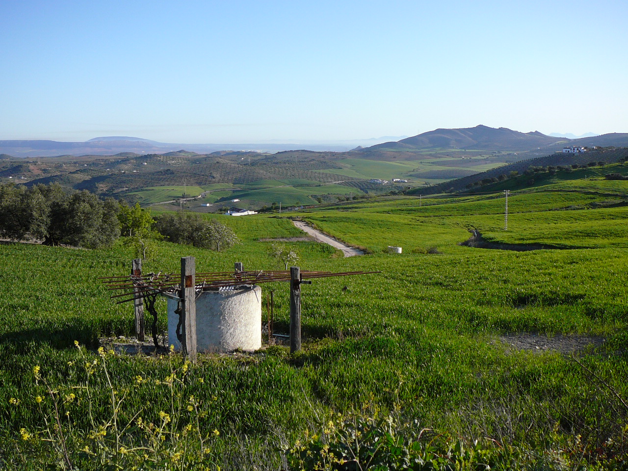 Valle de Abdalajís - Antequera(province de Málaga) Près du cortijo Armero 