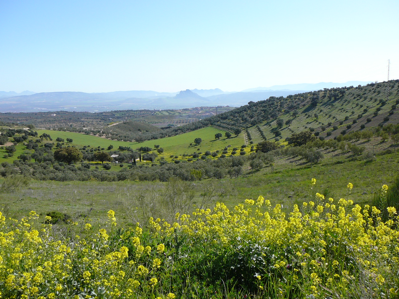 Valle de Abdalajís - Antequera(province de Málaga) Vastes horizons Paysage bucolique