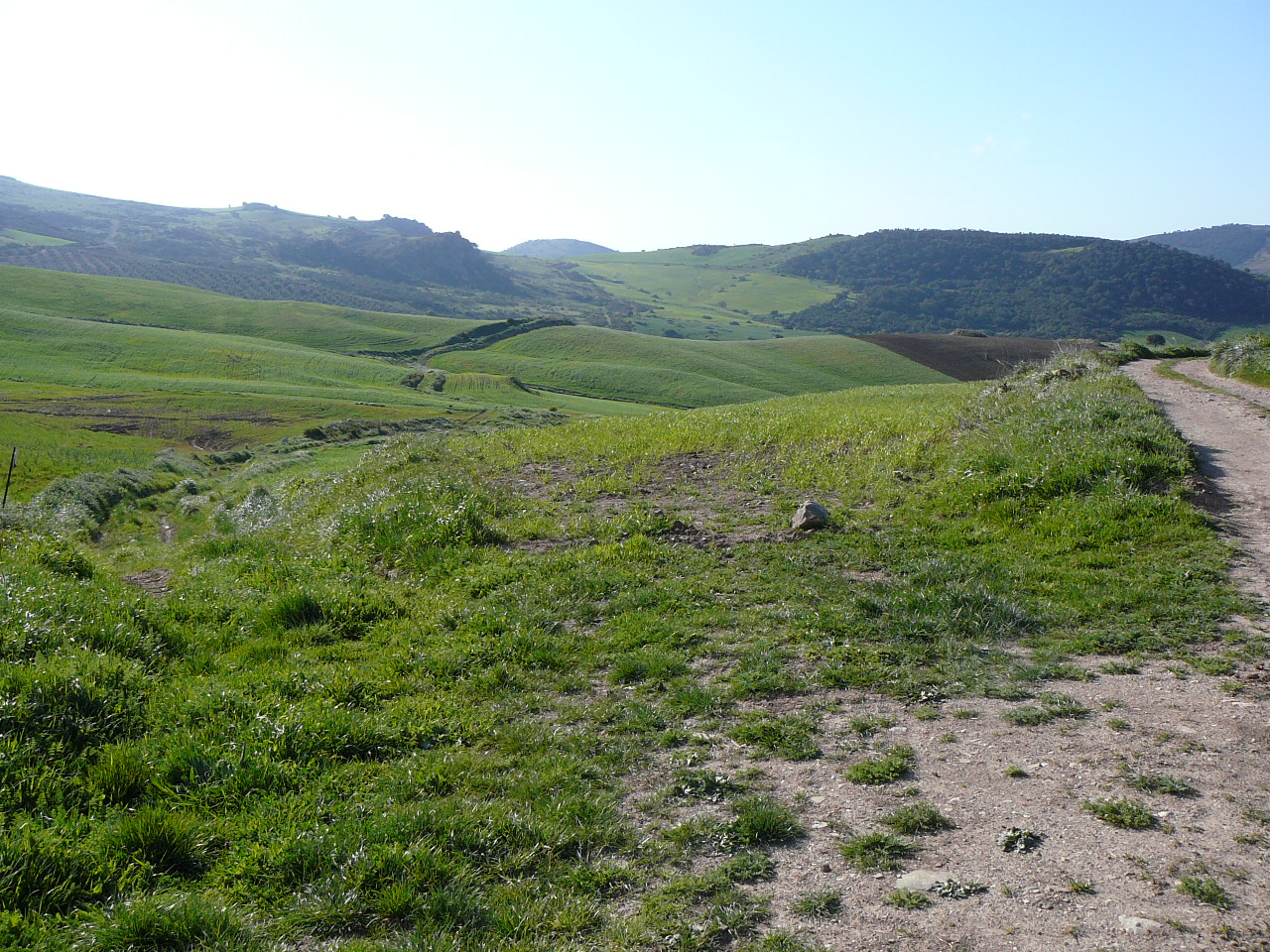 Antequera - Villanueva del Rosario (province de Málaga) En direction de la sierra de las Cabras C'est le chemin herbeux, à gauche, qu'il faut prendre