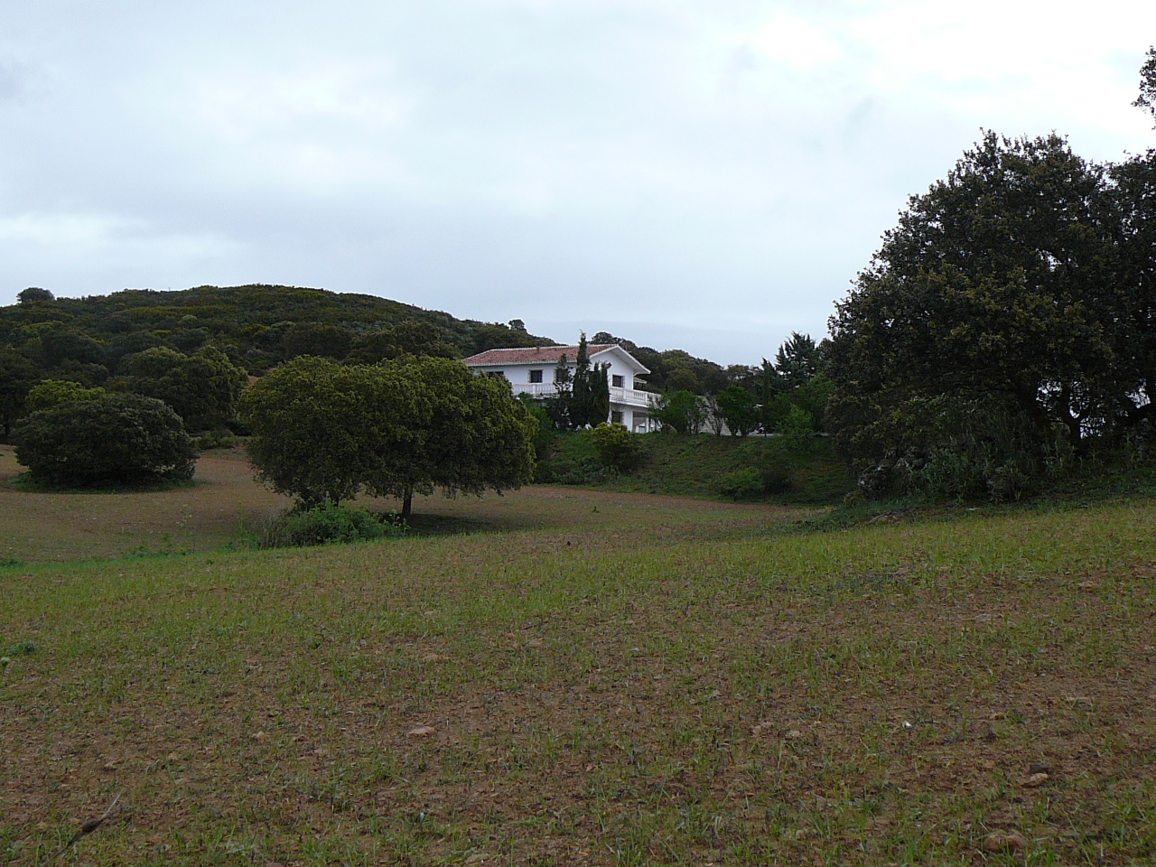 Villanueva del Rosario  - Villanueva de Tapia (province de Málaga) Hacienda Près du lieu-dit La Loma