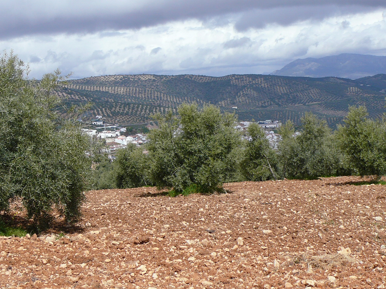 Villanueva del Rosario  - Villanueva de Tapia (province de Málaga) Villanueva de Tapia 