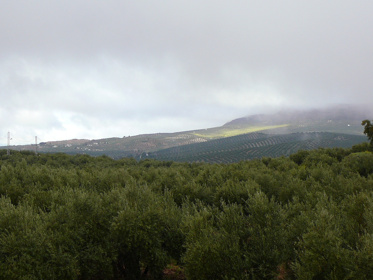 Priego de Córdoba - Alcalá la Real (province de Córdoba) En sortant de Priego 