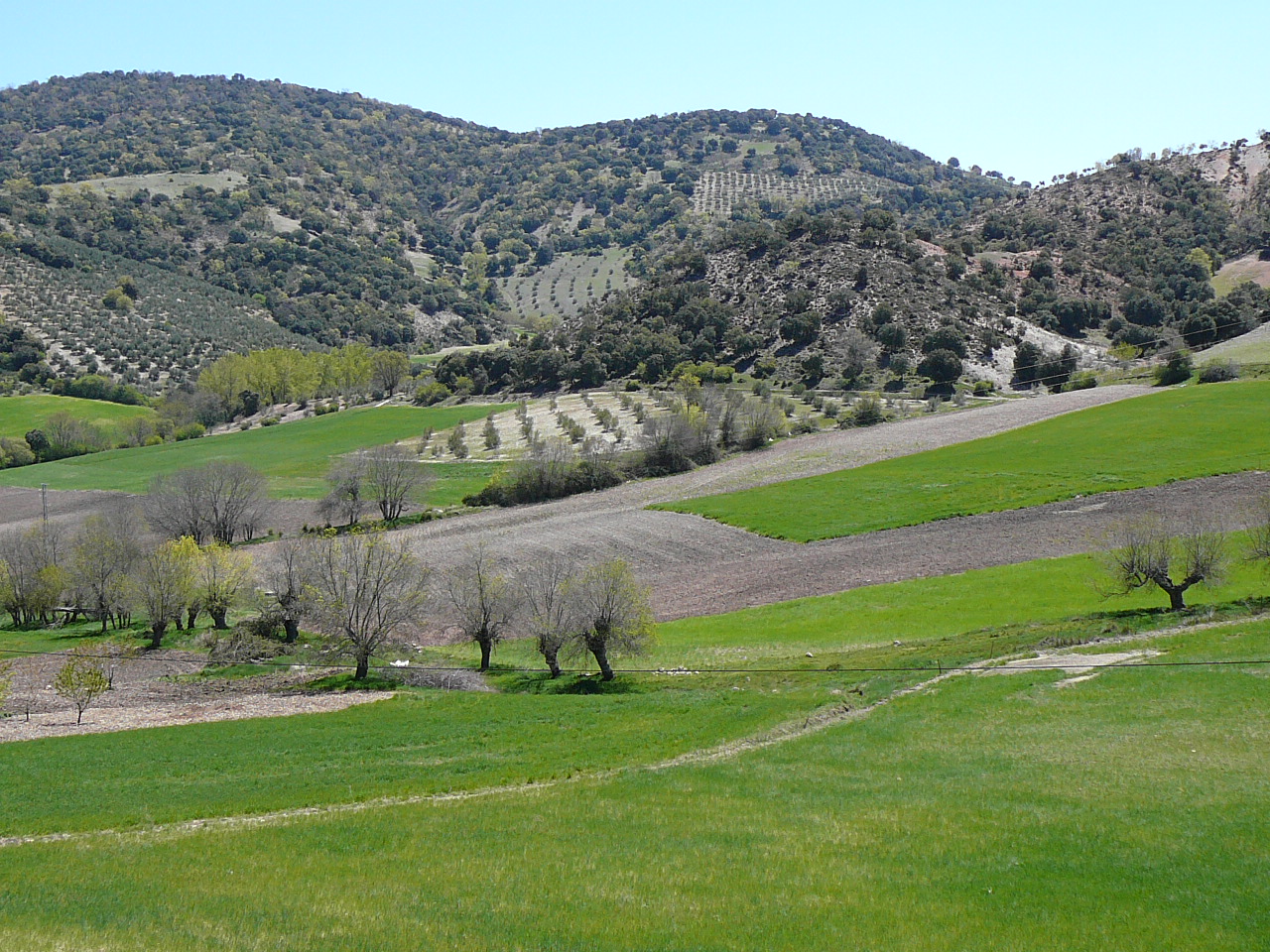 Alcalá la Real - Frailes (province de jaén) Au lieu-dit Sotorrendodo 