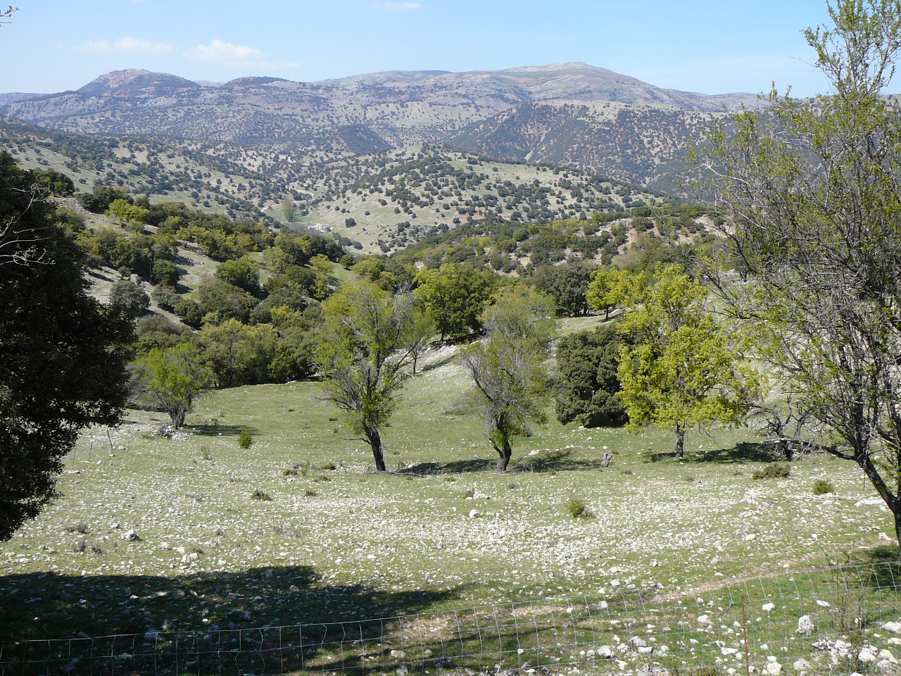 Alcalá la Real - Frailes (province de jaén) Près du cortijon de Fuentendeva 