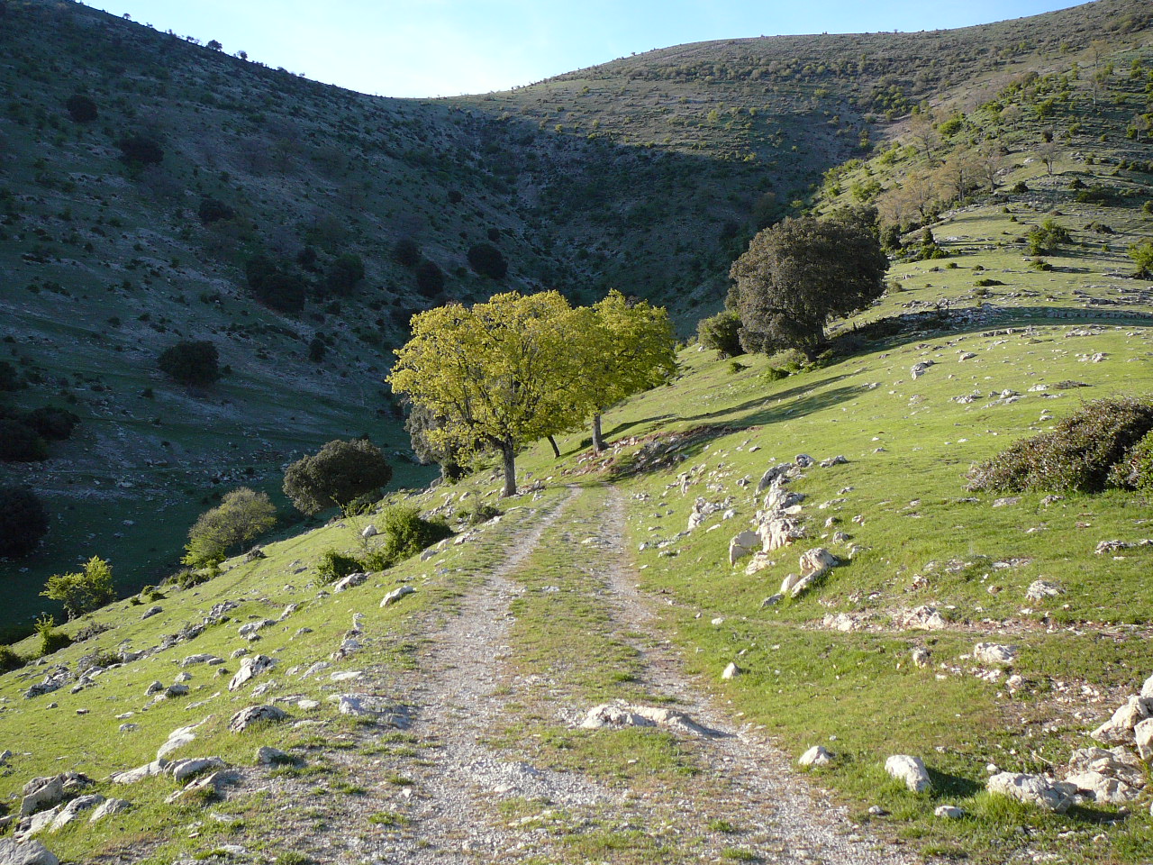 Frailes - Carchelejo (province de jaén) Montée vers le col 