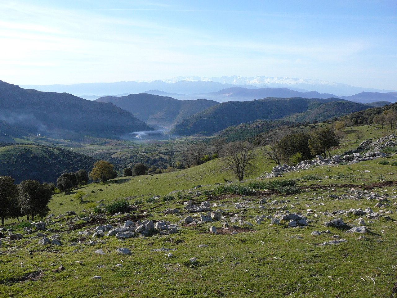 Frailes - Carchelejo (province de jaén) Vue depuis Alamillo Alto La sierra Nevada à l'horizon