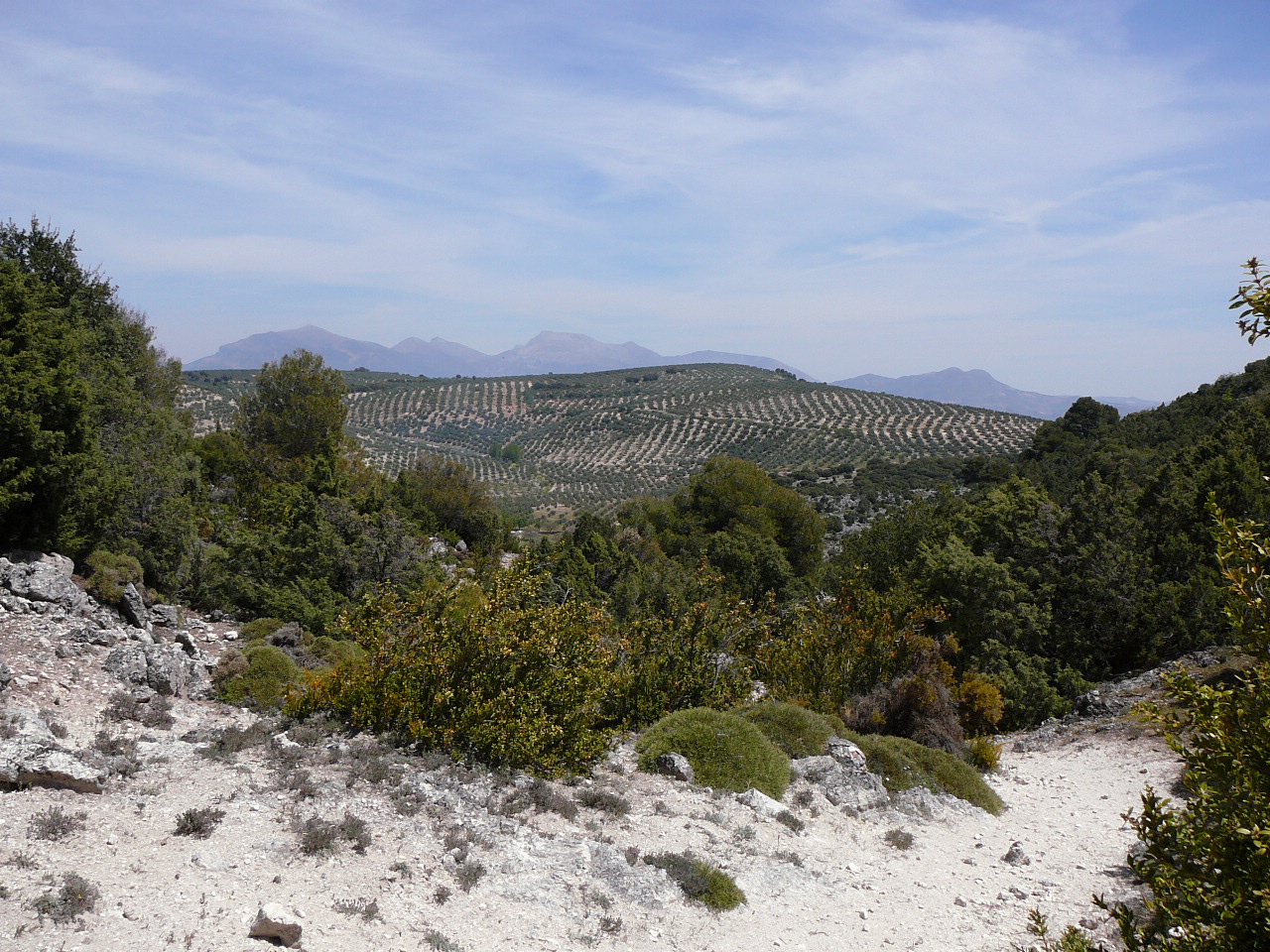 Frailes - Carchelejo (province de jaén) Descente rapide vers Carchelejo 