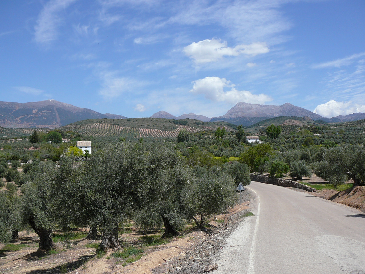 Carchelejo - Cambil (province de jaén) Sortie d'Arbuniel 