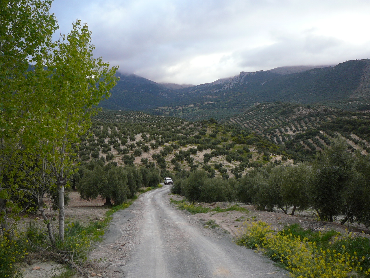 Cambil - Torres (province de jaén) Vers la route N 324 