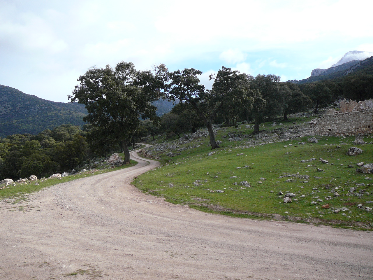 Cambil - Torres (province de jaén) Piste de la vallée de l'arroyo de Ios 