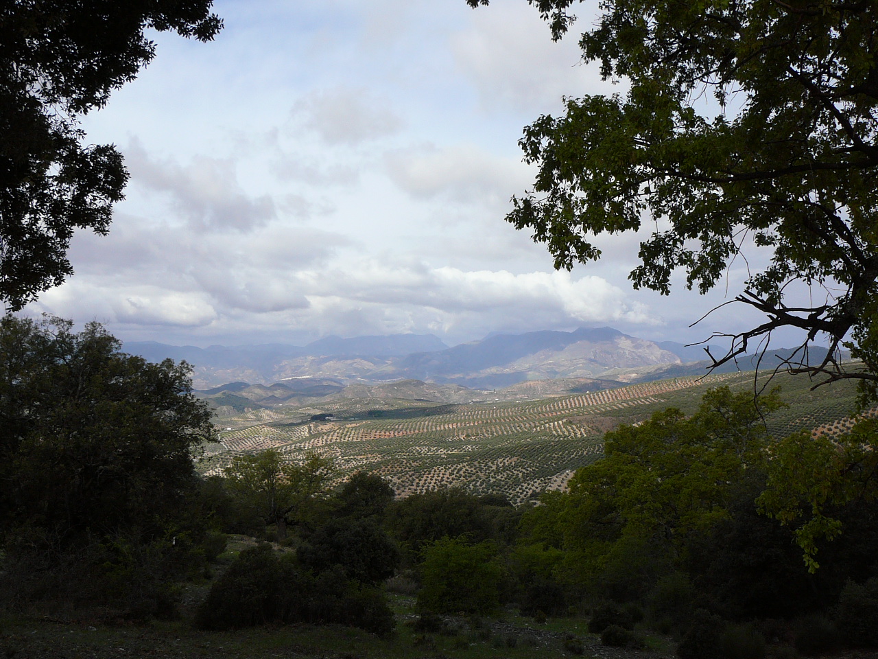 Cambil - Torres (province de jaén) Au puerto de la Mata 