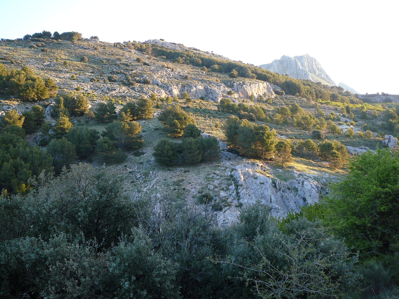 Torres - Jódar (province de jaén) Sortie de Torres au petit matin 
