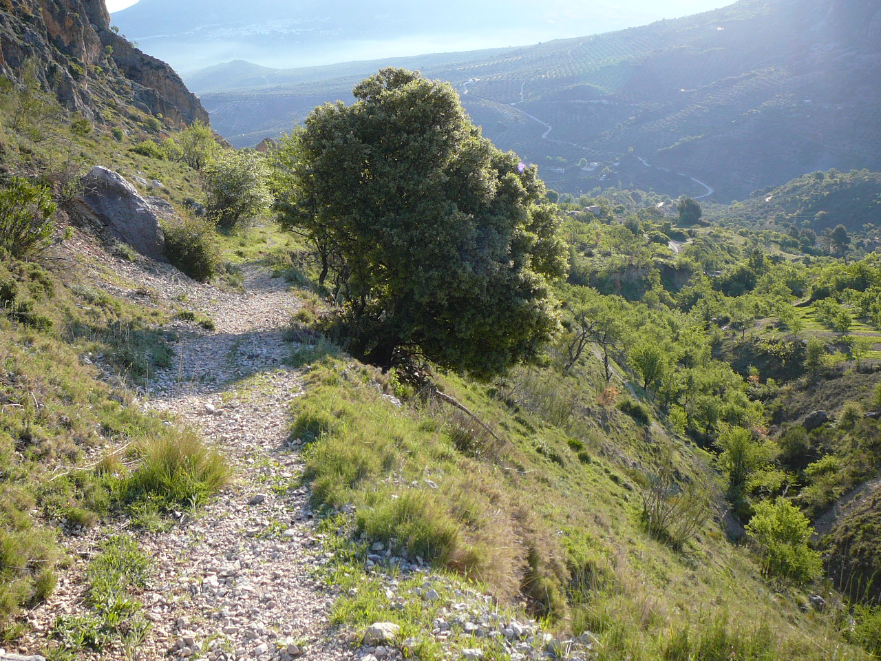 Torres - Jódar (province de jaén) Descente vers Albanchez de Mágina 