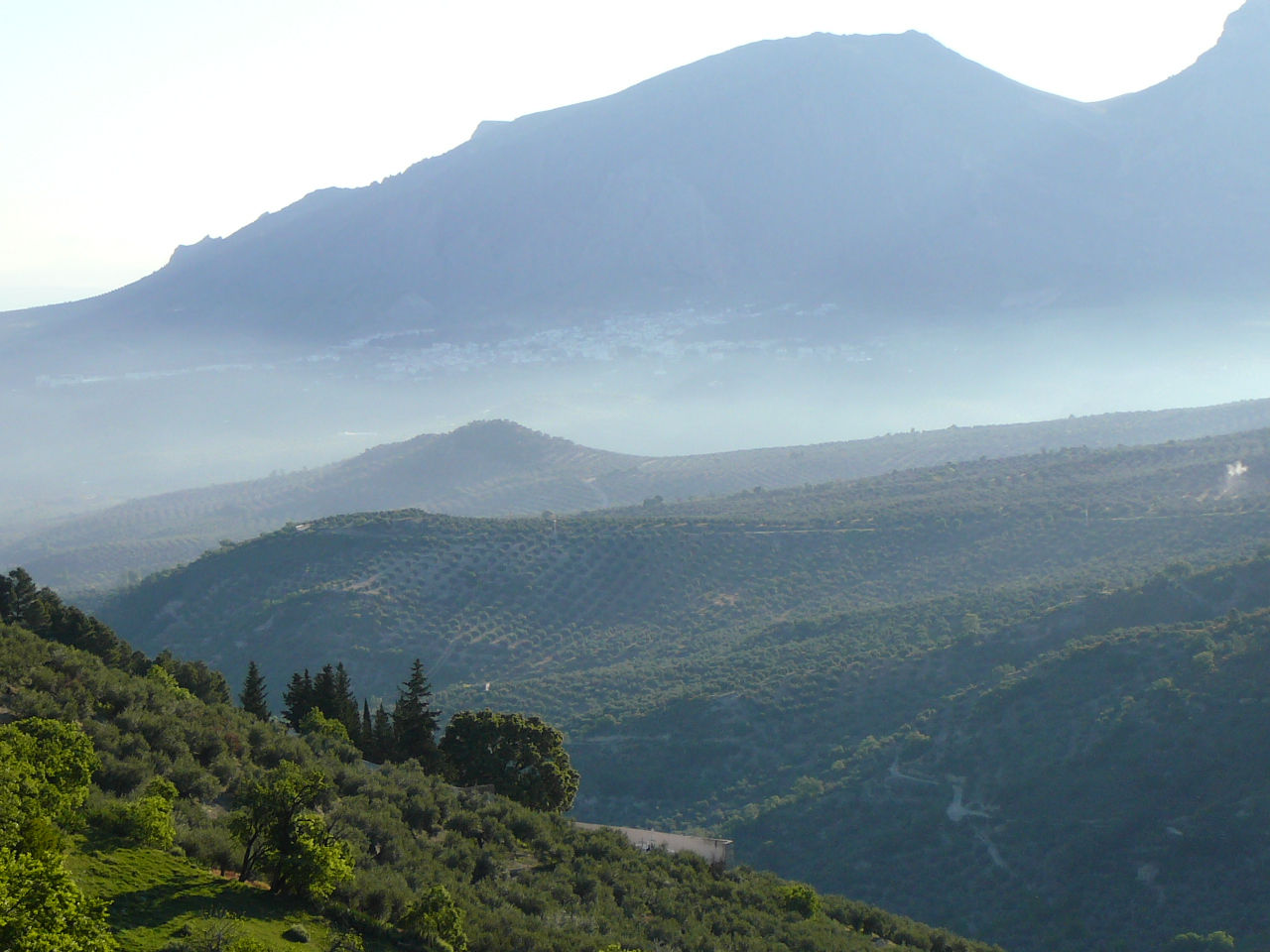 Torres - Jódar (province de jaén) Le val du río Albanchez A l'horizon le bourg Bedmar