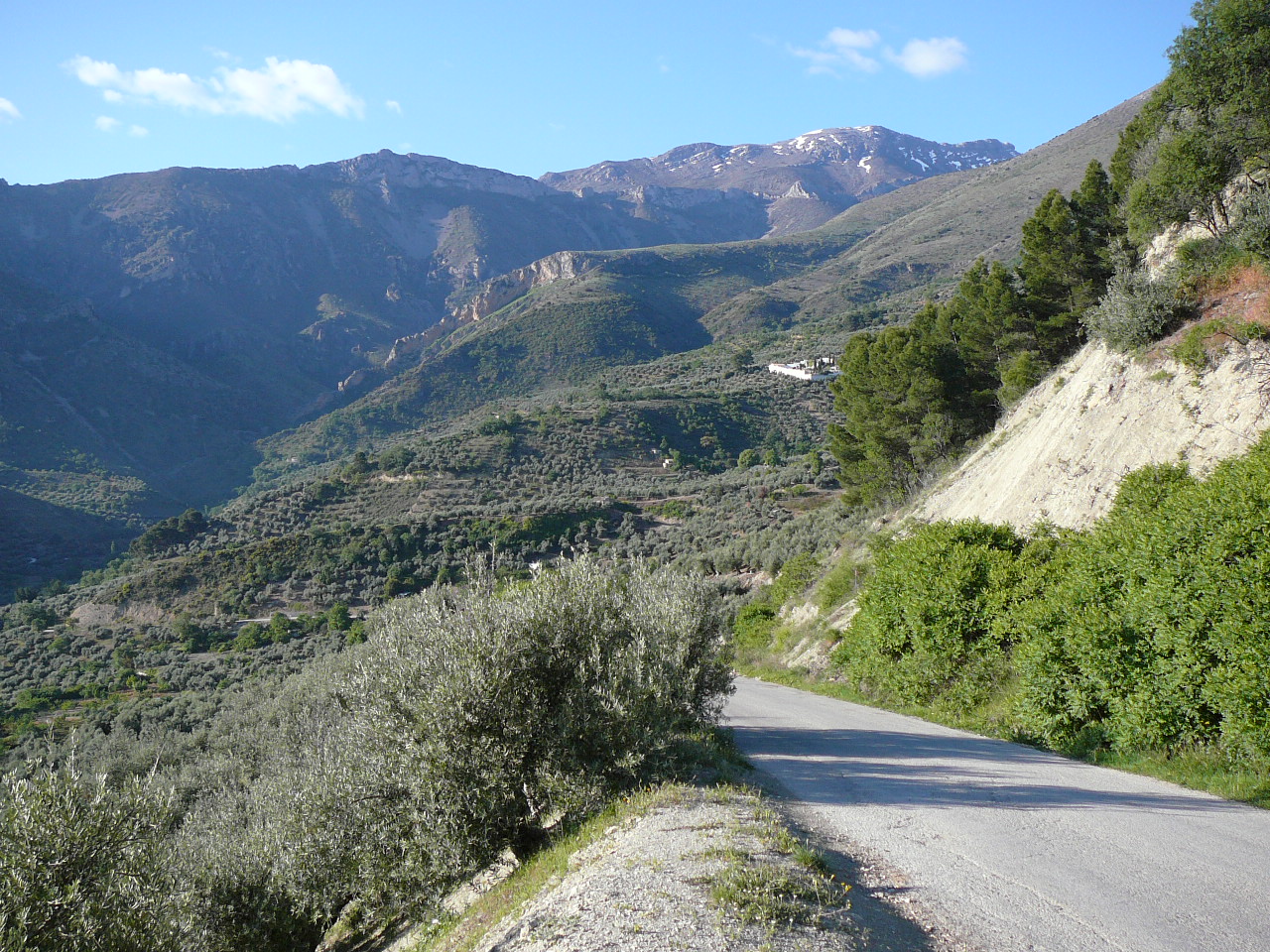 Torres - Jódar (province de jaén) En descendant vers le río Albanchez 