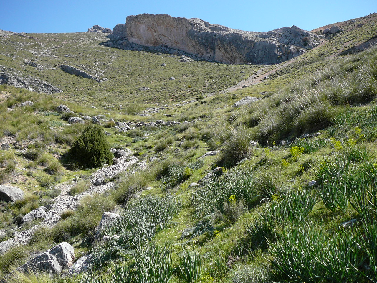 Torres - Jódar (province de jaén) Près du col 