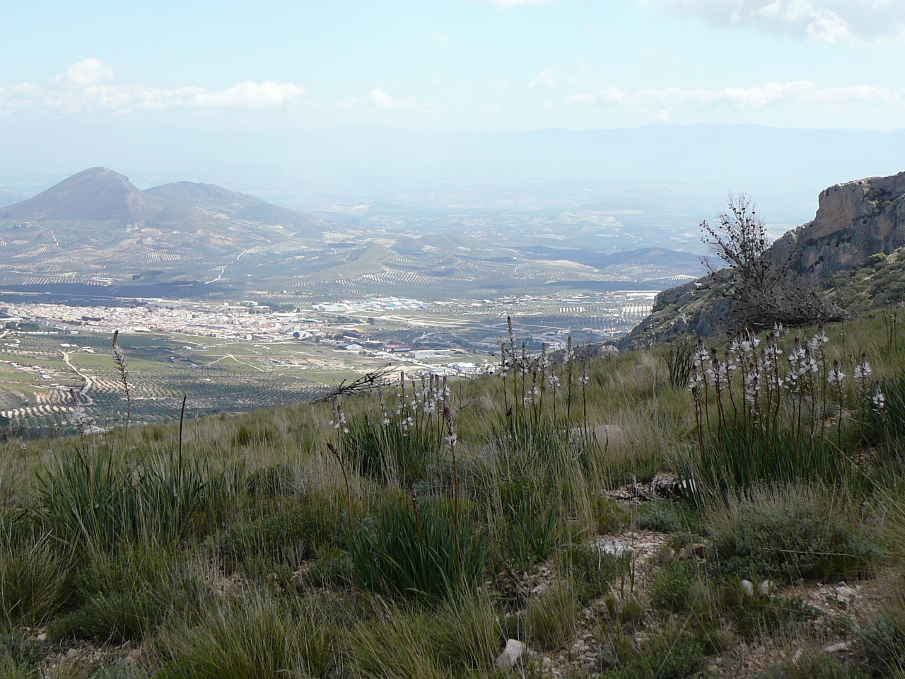 Torres - Jódar (province de jaén) Jódar dans la vallée 