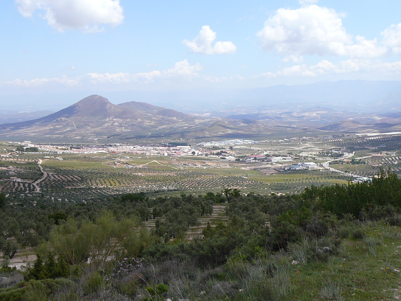 Torres - Jódar (province de jaén) Près de Jódar 