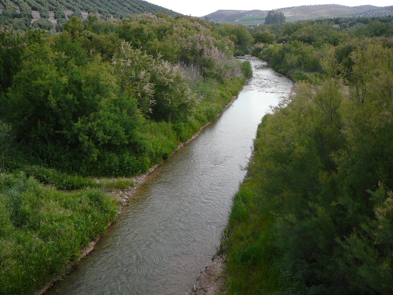 Jódar - Quesada (province de jaén) le río Guadiqua 