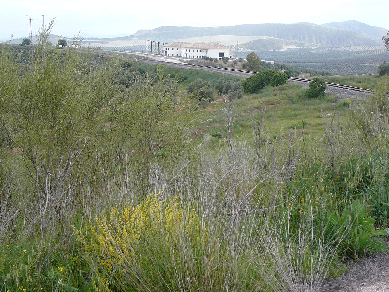 Jódar - Quesada (province de jaén) Huilerie près de El Guijo 