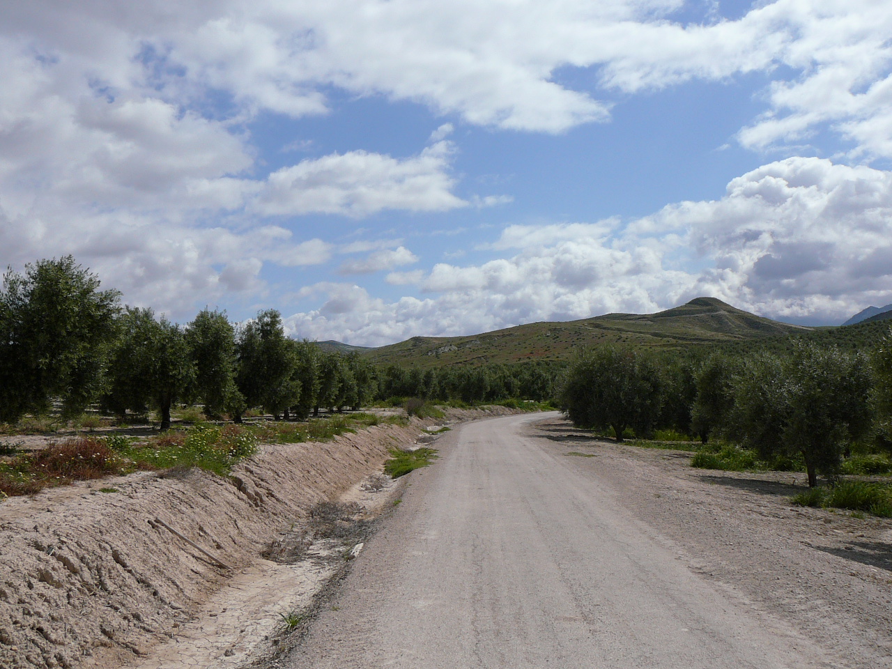 Jódar - Quesada (province de jaén) Une piste confortable 
