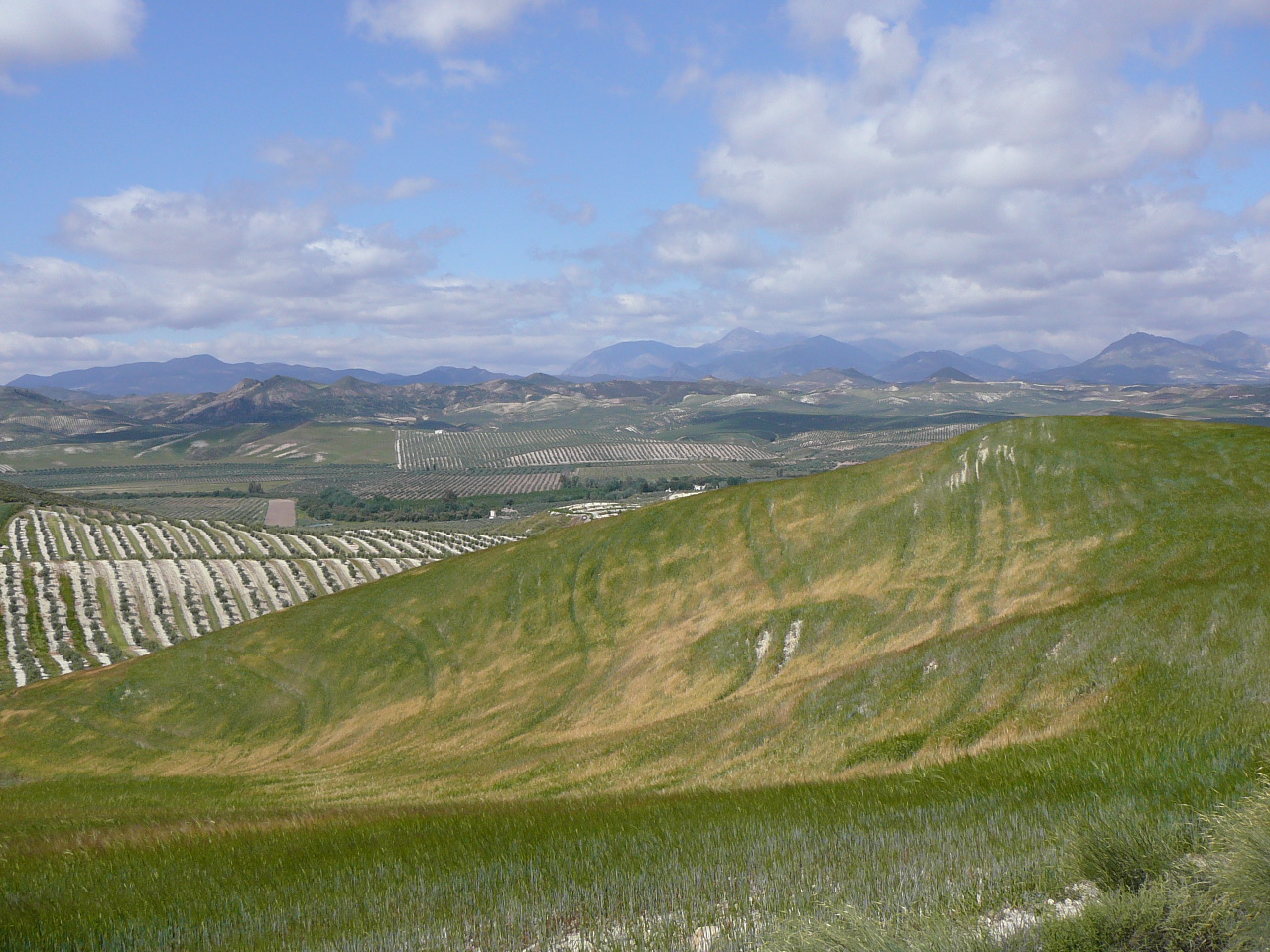 Jódar - Quesada (province de jaén) Doux paysage 