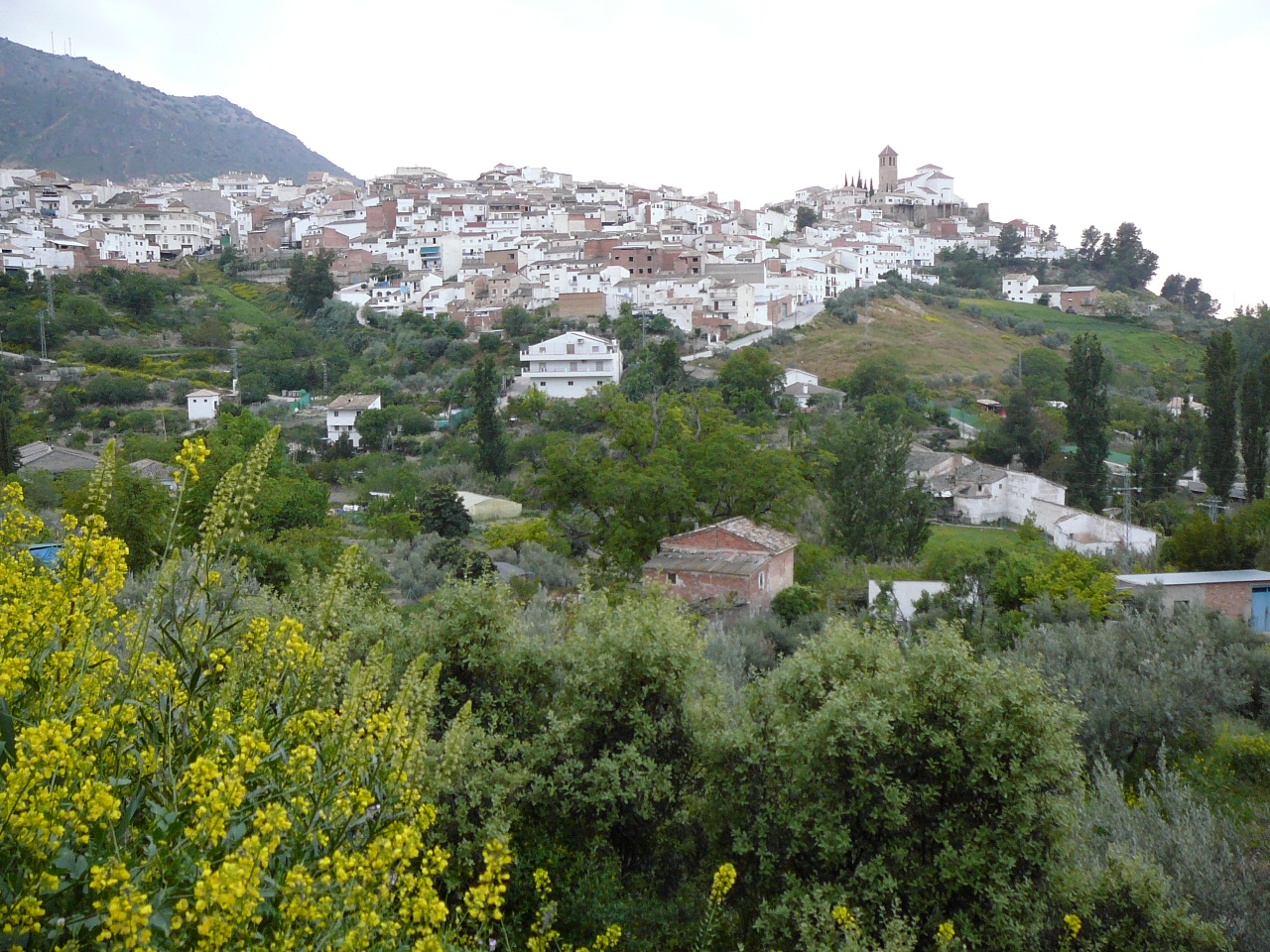 Quesada - Cazorla (province de jaén) Départ de Quesada 
