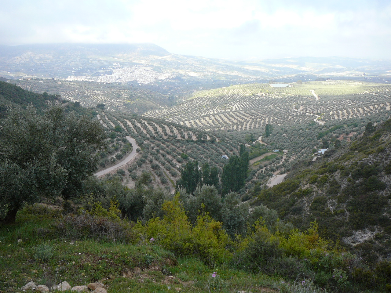 Quesada - Cazorla (province de jaén) Vallée du Barranco Majuela 