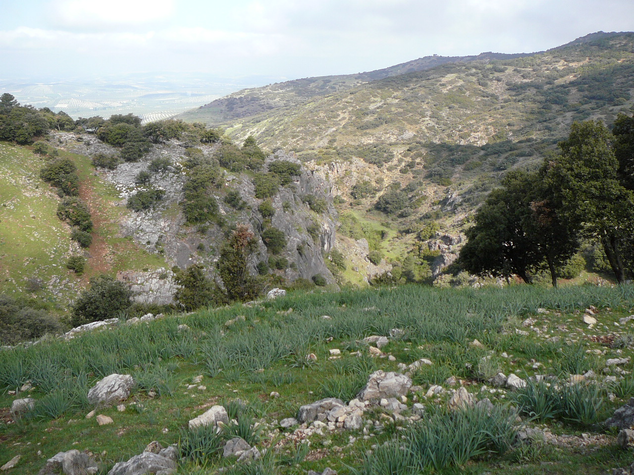 Quesada - Cazorla (province de jaén) En montant vers la sierra del Poyo 