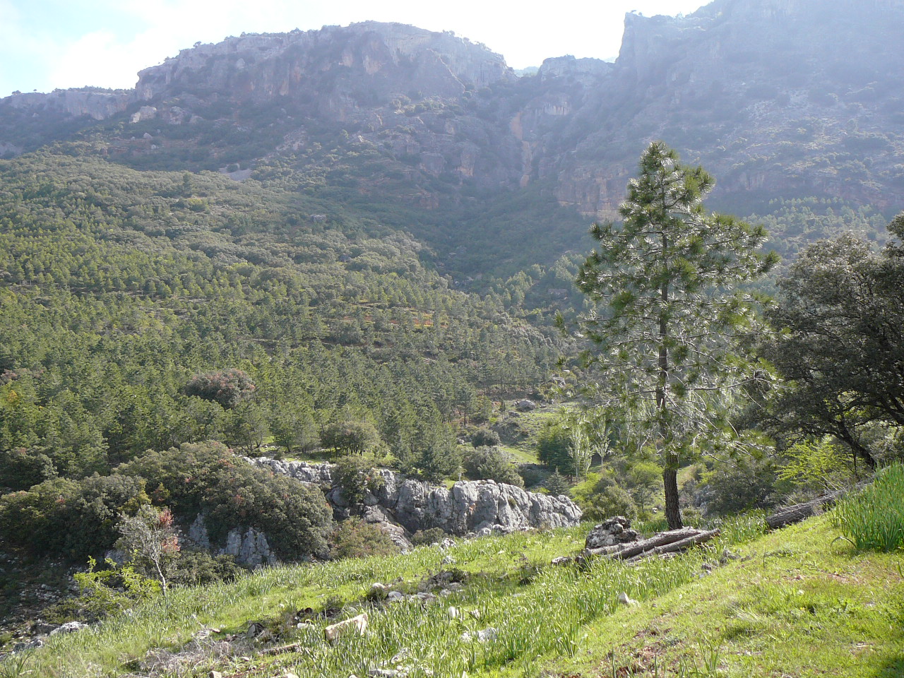 Quesada - Cazorla (province de jaén) La sierra del Poyo 