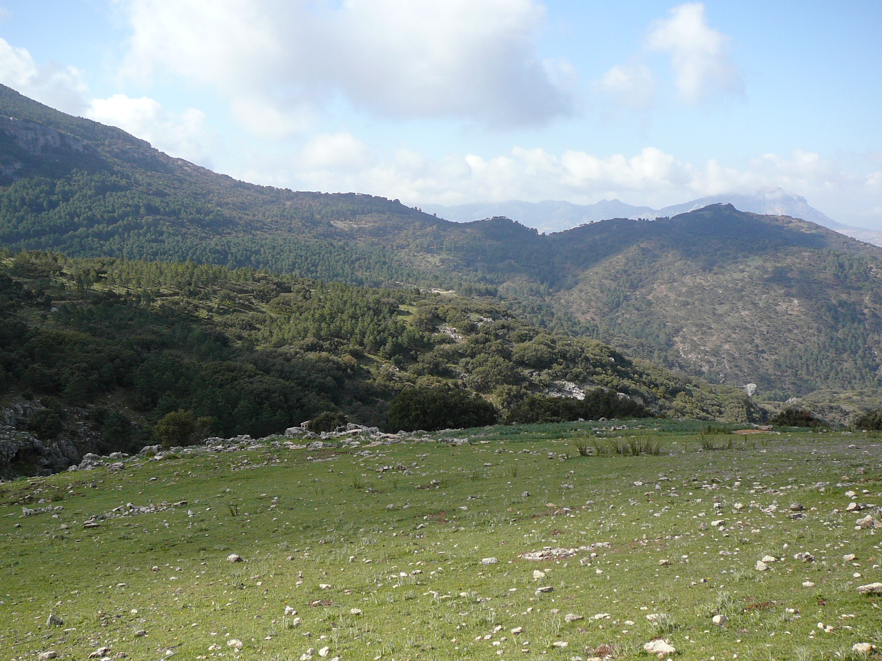 Quesada - Cazorla (province de jaén) Au col  de la sierra del Poyo 